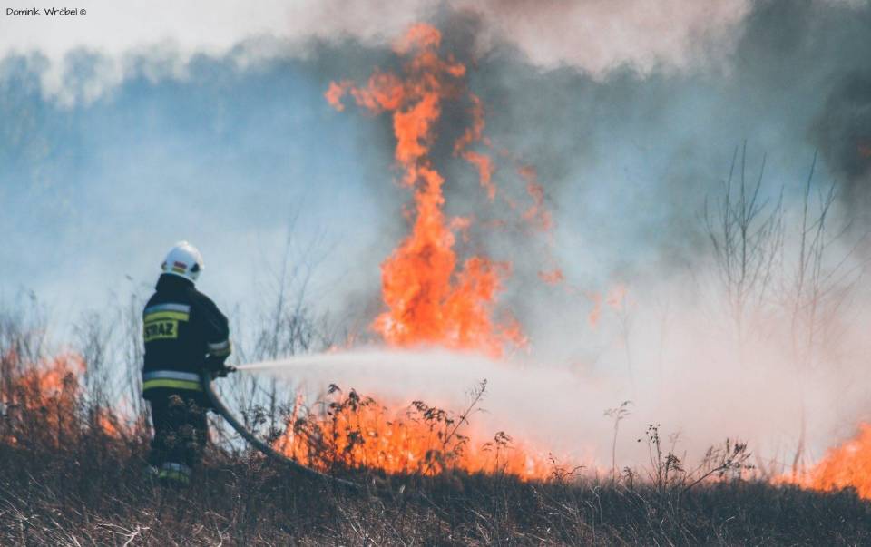 Tragiczny pożar nieużytków w Modlicy. Nie żyje mężczyzna